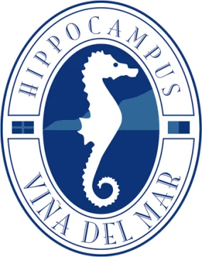 Logo Hippocampus Viña del Mar